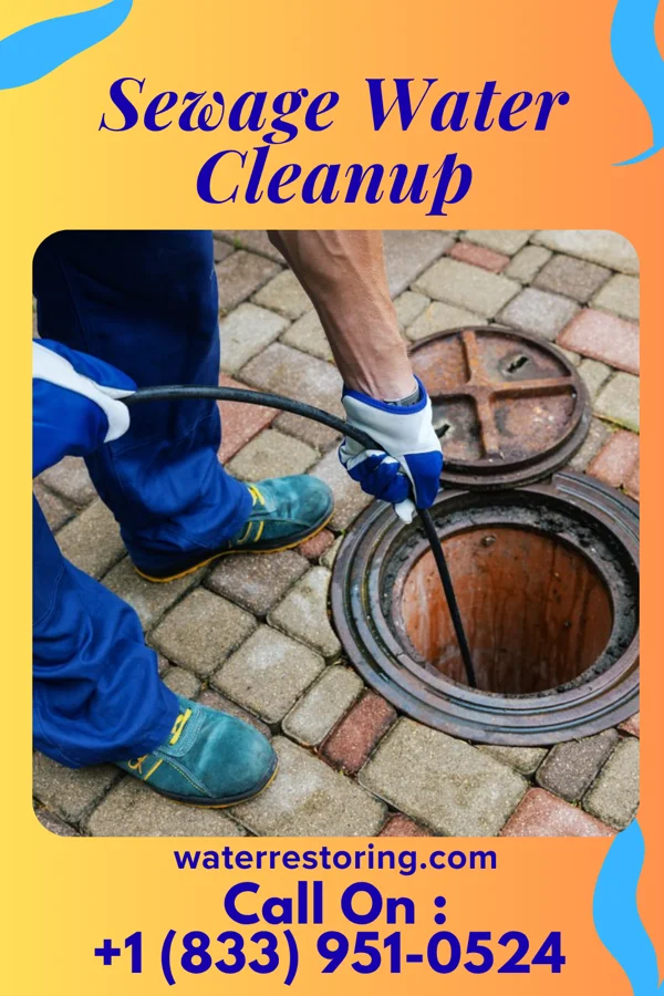 Sewage Water Cleanup in Caledonia, OH